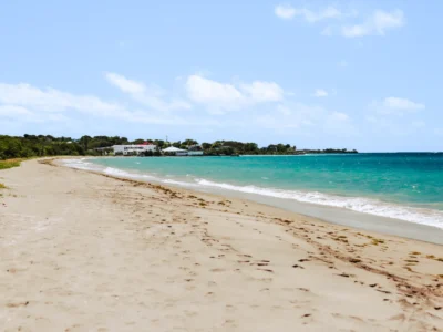 Gallery thumbnail 10