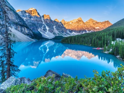 Gallery thumbnail 10