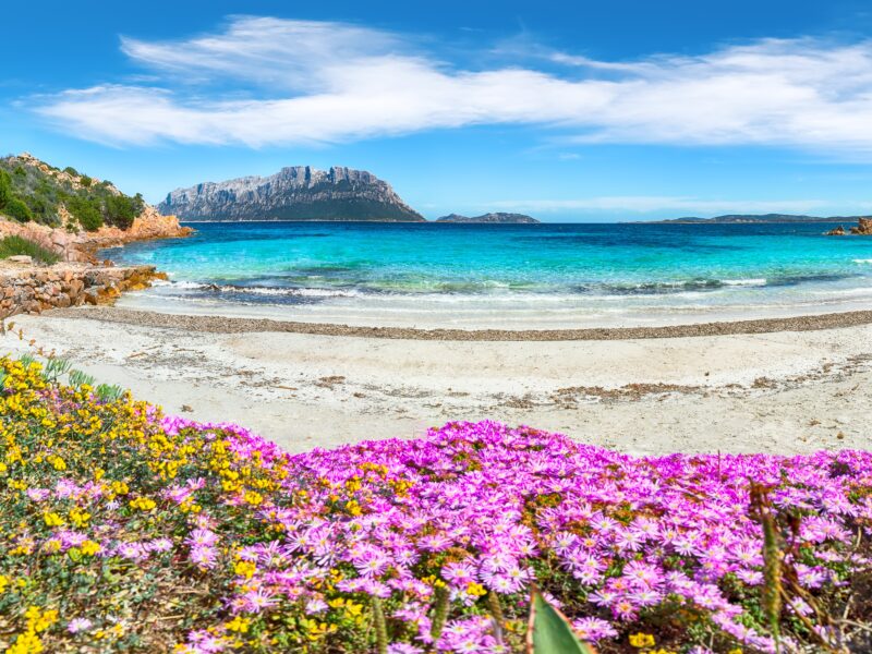 Superb,Azure,Water,With,Rocks,And,Lots,Of,Flowers,At