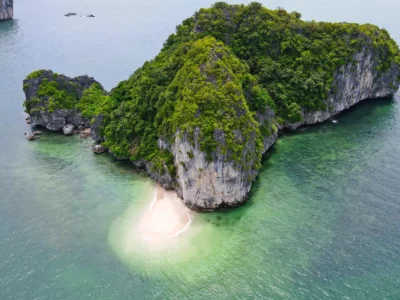 Gallery thumbnail 10