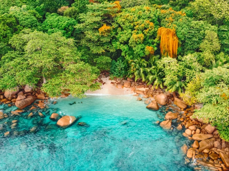 [D2] praslin islandd