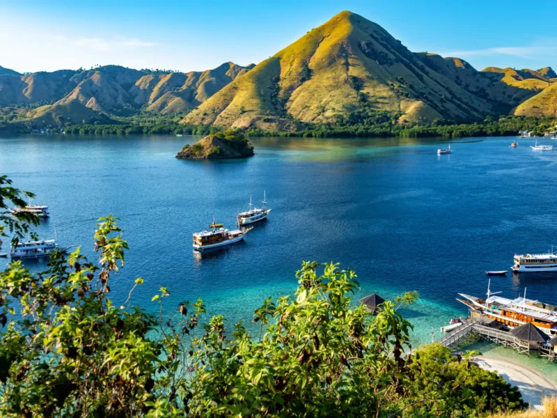 [D3] komodo island