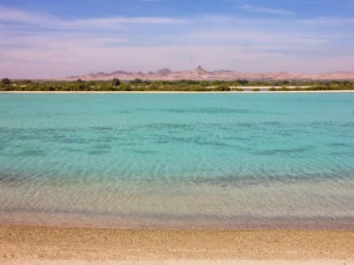 Gallery thumbnail 11