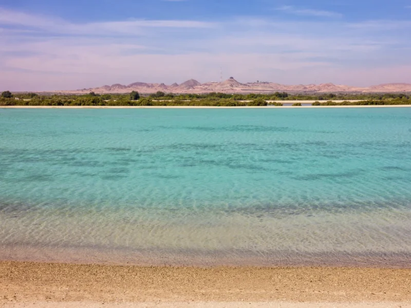 [D5] Sir Bani Yas Island