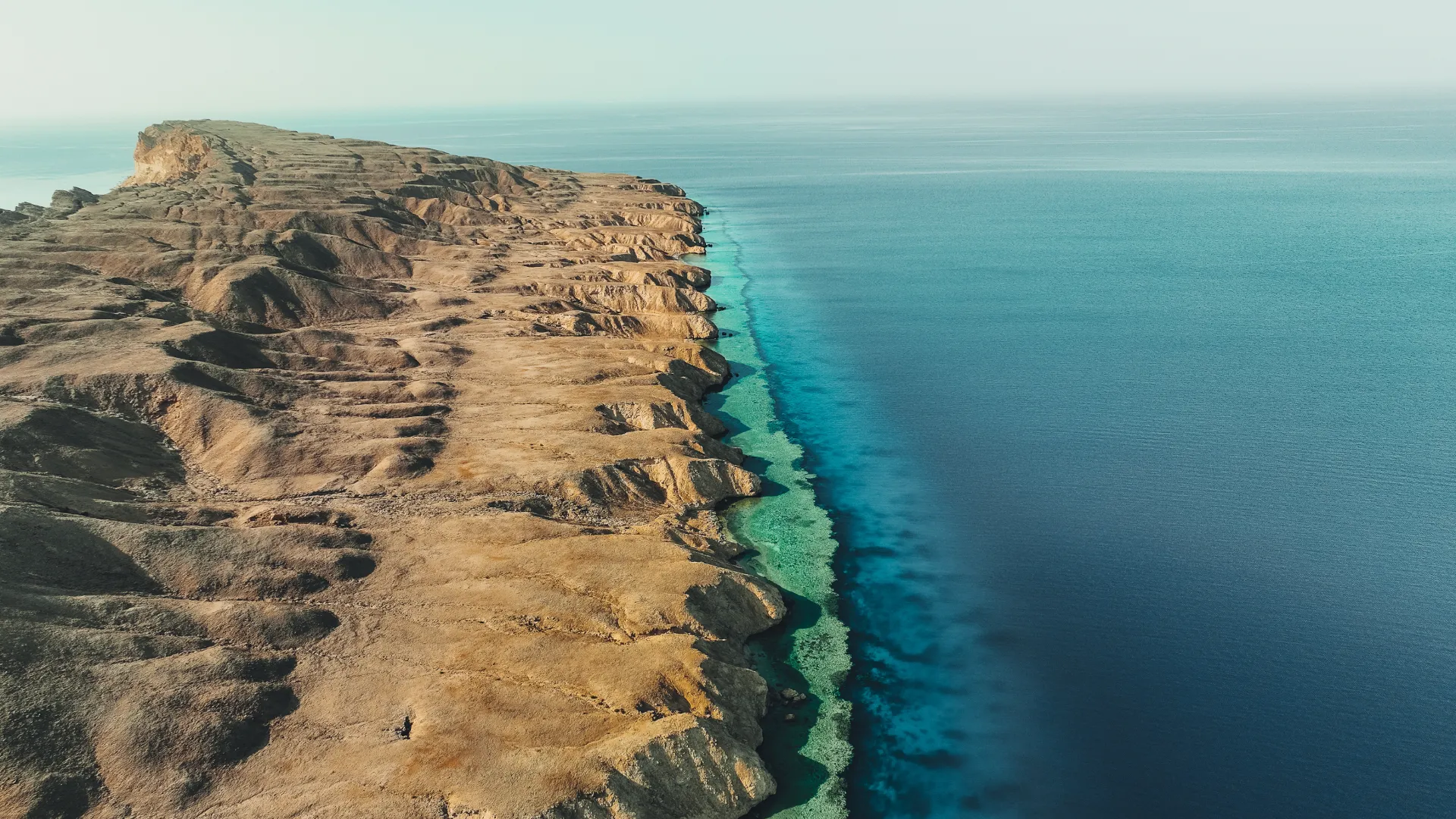 4 DAYS IN SAUDI ARABIA