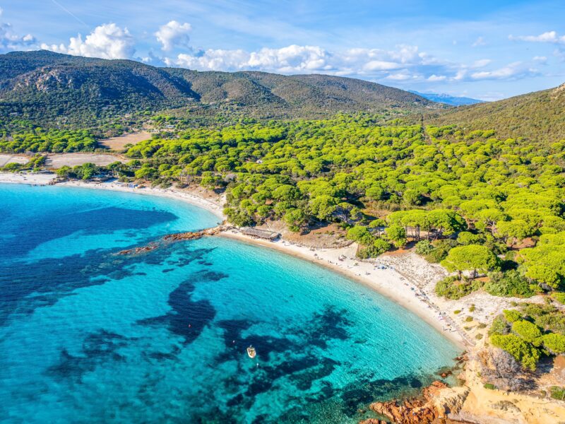 Aerial,View,With,Palombaggia,Beach,In,Corsica,Island,,France