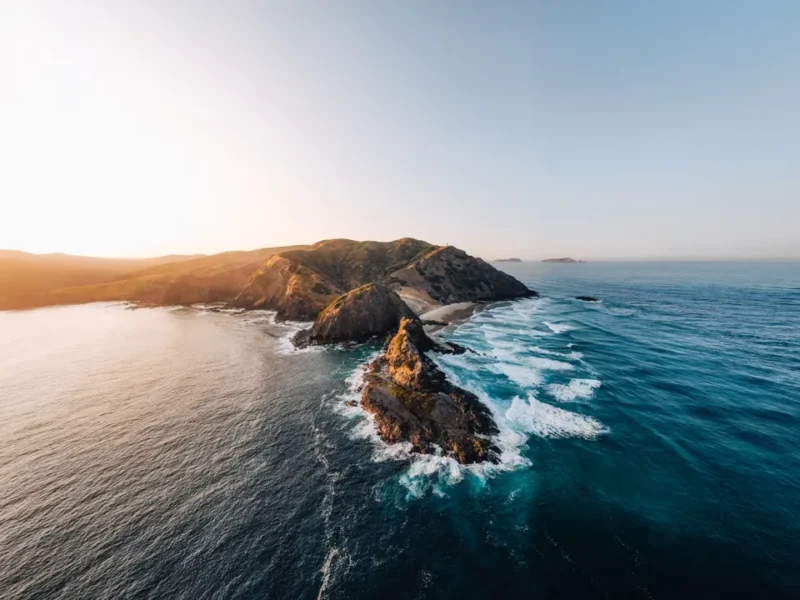 7 DAYS IN NEW ZEALAND